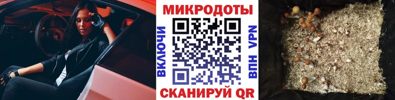 где найти наркотики Кущёвская Галлюциногенные грибы Magic Shrooms