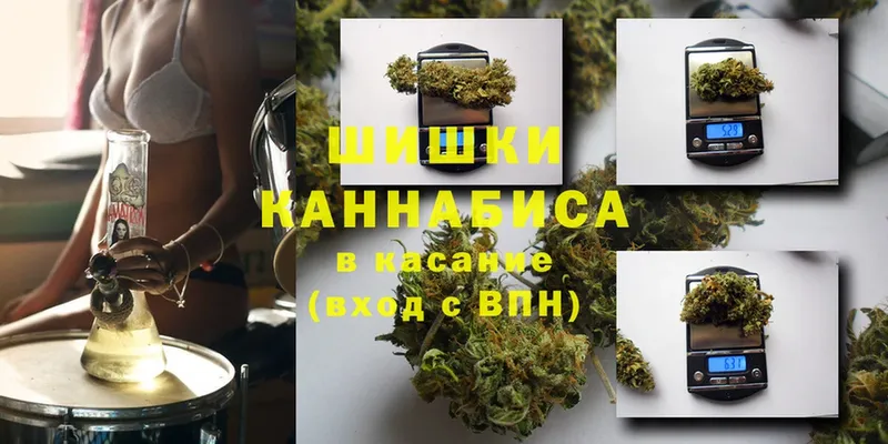 Канабис OG Kush  Кущёвская 